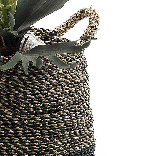 Oresteluchetta Cesto SUMATRA Medium Promozione Limitata