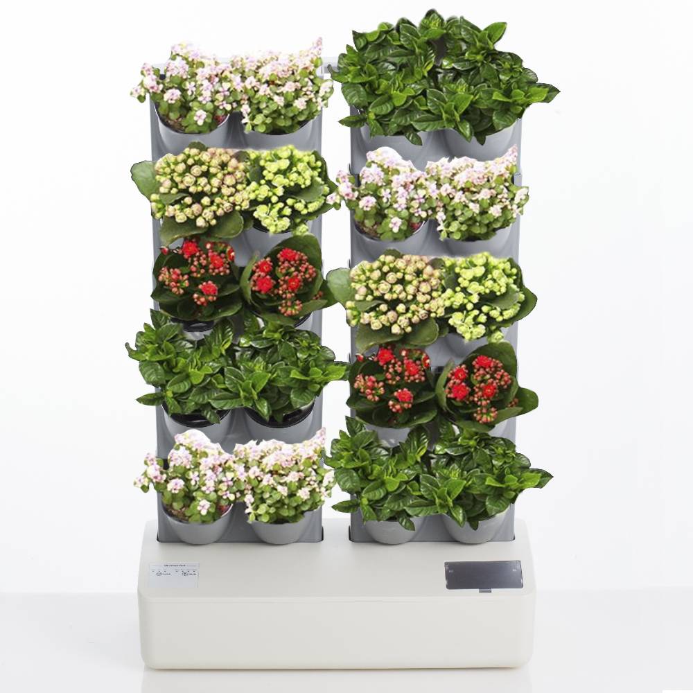 Oresteluchetta GIARDINO VERTICALE CON VASI AUTO INNAFFIANTI PER ESTERNO / INTERNO ALLOSH 20 Sconti VIP