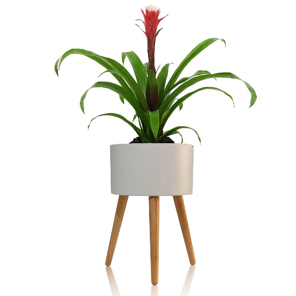 Oresteluchetta Vaso autoinnaffiante per esterno / interno KIRIN - C Fino al 60% di sconto