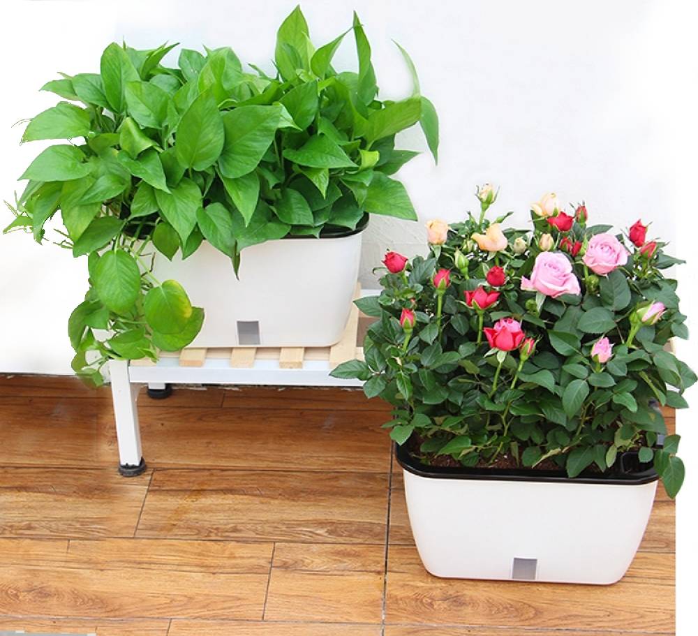 Oresteluchetta Vaso autoinnaffiante per esterno / interno TULLE SMALL Super sconto