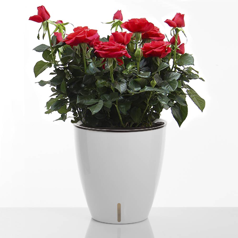 Oresteluchetta Vaso autoinnaffiante per esterno / interno ARGO Enormi sconti