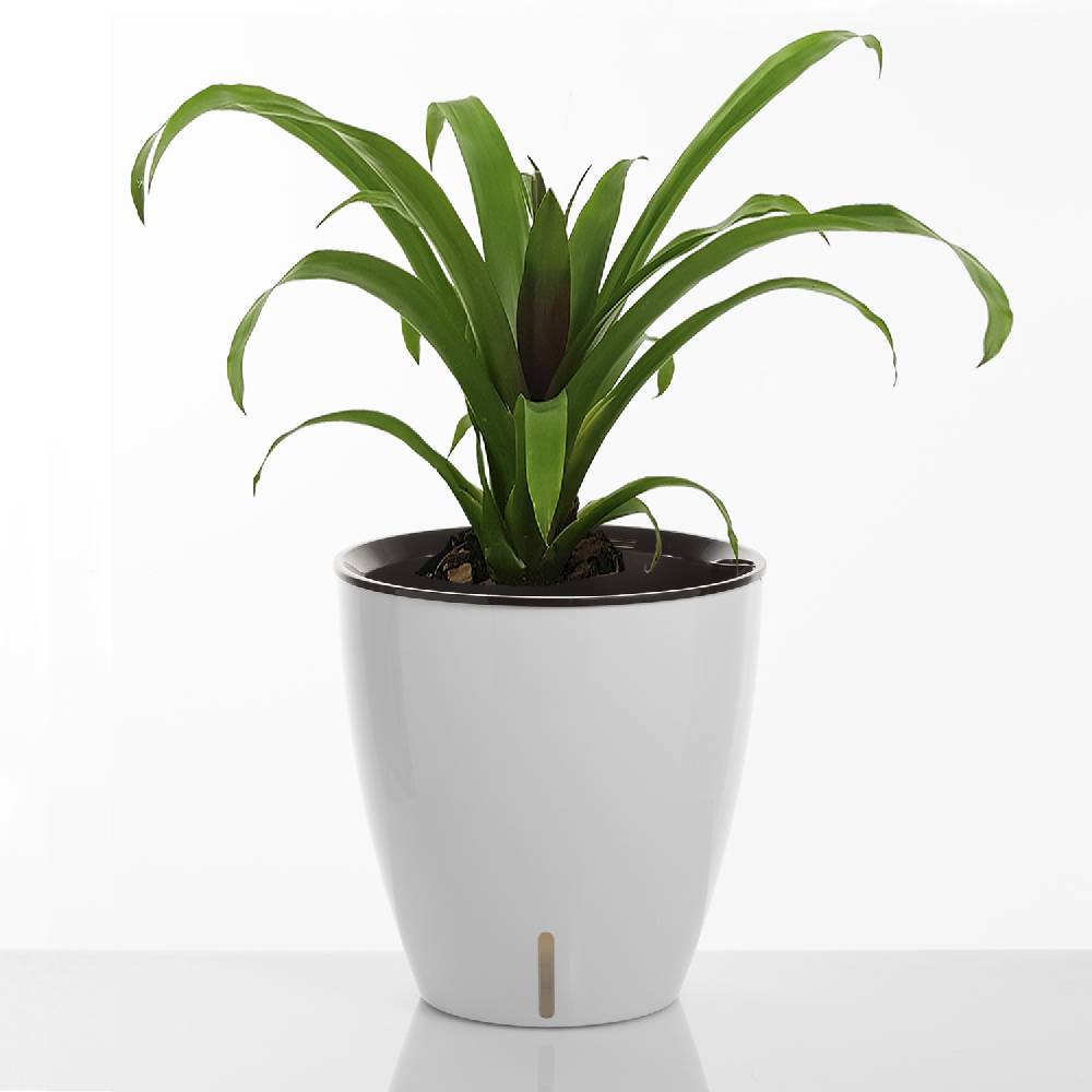 Oresteluchetta Vaso autoinnaffiante per esterno / interno ARGO Enormi sconti