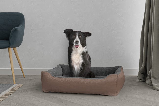 Leroymerlin CUCCIA LOVE SOGNI E CAPRICCI PETS 84x66 cm TORTORA Offerta esclusiva