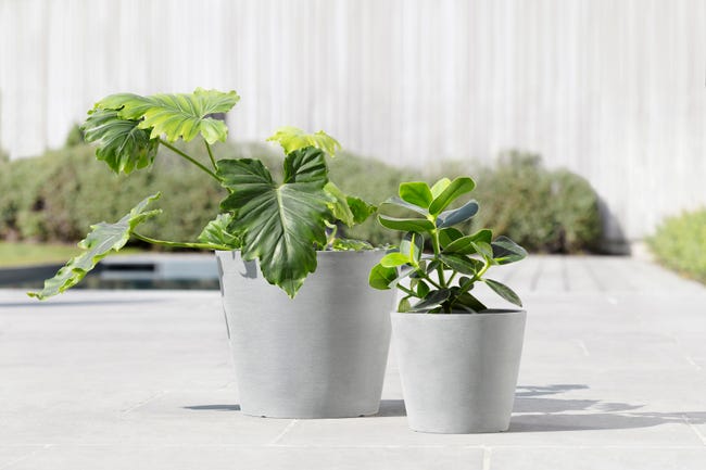 Leroymerlin Vaso per piante e fiori AMSTERDAM ECOPOT'S in resina grigio chiaro H 26.5 cm Ø 30 cm Nuovi prodotti