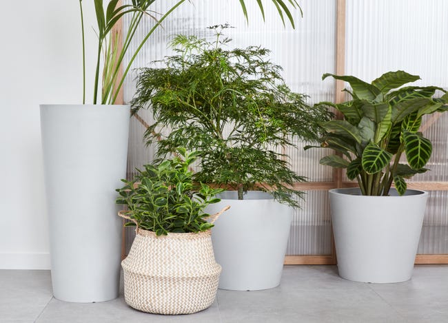 Leroymerlin Vaso per piante e fiori AMSTERDAM ECOPOT'S in polipropilene grigio chiaro H 70 cm Ø 32 cm Grande vendita