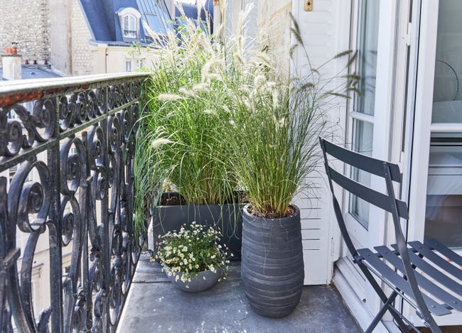 Leroymerlin Vaso per piante e fiori BRUSSELS ECOPOT'S in polipropilene grigio H 14 cm Ø 30 cm Offerta esclusiva