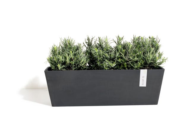 Leroymerlin Fioriera BRUGES ECOPOT'S in resina antracite H 17 cm L 55 x P 17 cm Offerta natalizia