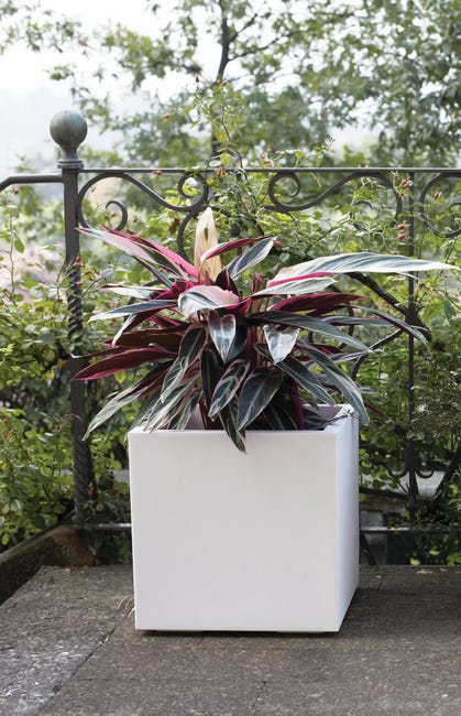 Leroymerlin Coprivaso per piante e fiori KEBE in polipropilene bianco H 40 cm L 40 x P 40 cm Offerta Giorno del Papà