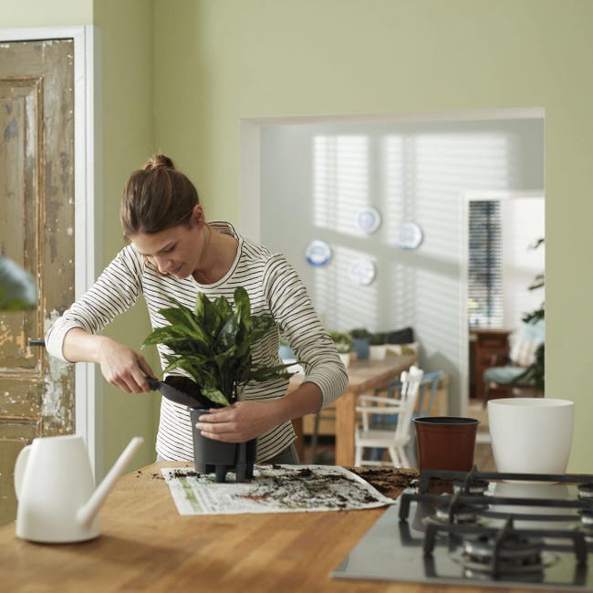 Leroymerlin Vaso con supporto ELHO Auto-irrigante in polipropilene nero H 39 cm Ø 42.8 cm Offerte speciali