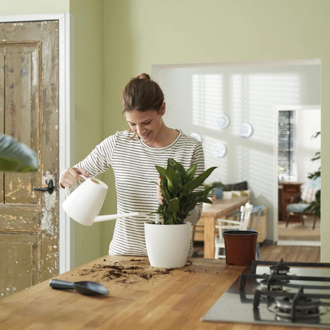 Leroymerlin Vaso con supporto ELHO Auto-irrigante in polipropilene nero H 39 cm Ø 42.8 cm Offerte speciali