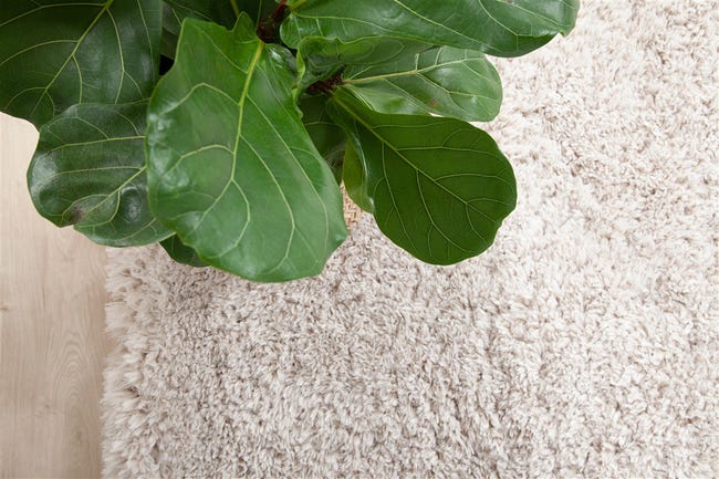 Leroymerlin Tappeto Bold beige L 230 x L 160 cm Offerta esclusiva