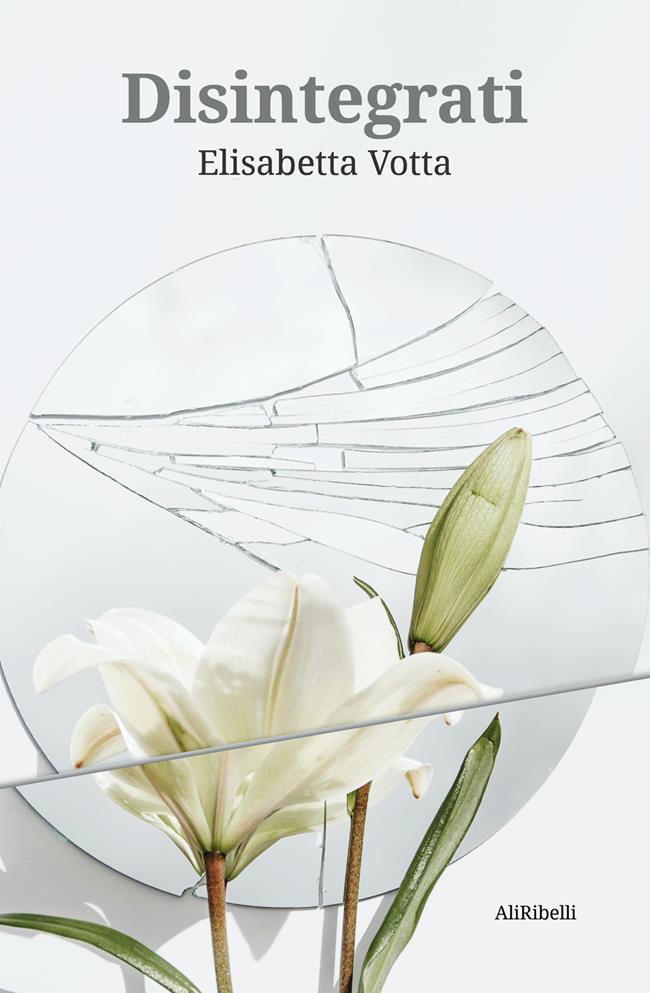 Libraccio Disintegrati (audiolibro) Rilascio limitato