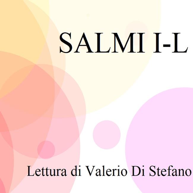 Libraccio Salmi I-L (audiolibro) Duty-free