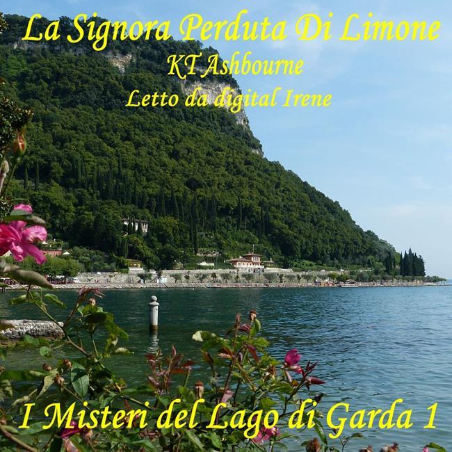 Libraccio La Signora Perduta Di Limone (audiolibro) Soddisfazione Garantita